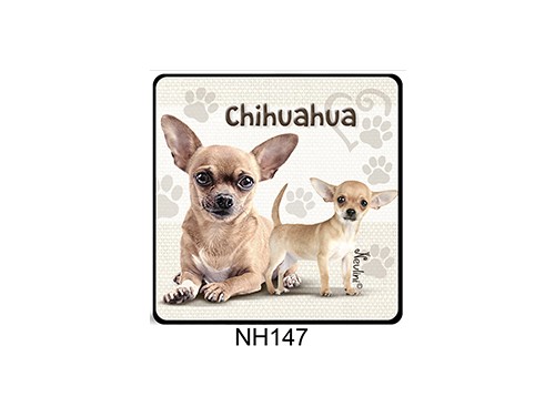 (NH147) Hűtőmágnes 7,5 cm x 7,5 cm - Chihuahua – Kutyás ajándékok